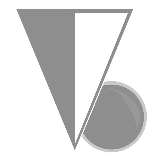 The Vincent Brothers Review Weekly Reader logo