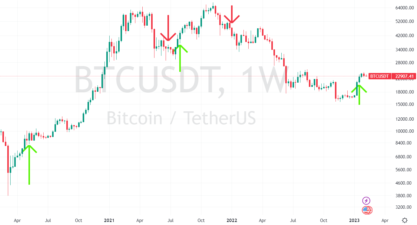 Unrelenting Buying Triggers New Long-Term Buy Signals in Bitcoin and  Ethereum