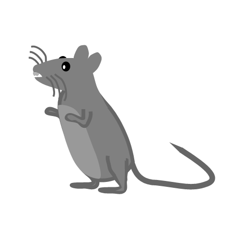 Artwork for Conspi-Rat