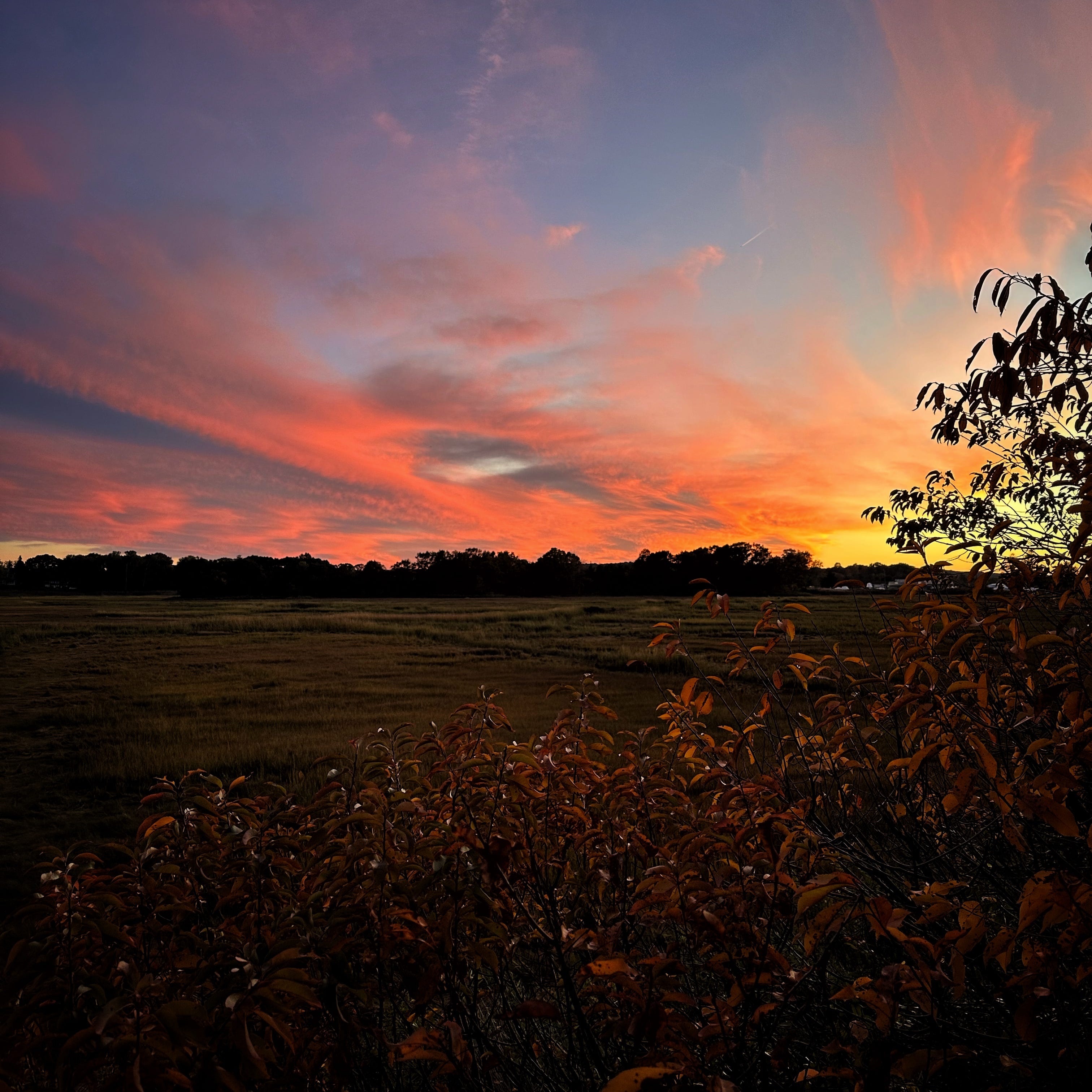 Getting to the heart of your optimism by SuddenlyJamie