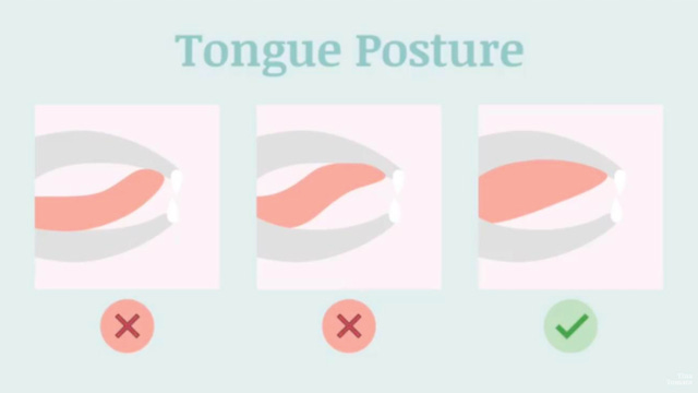 How To Mew Properly & What is Mewing: Tongue Posture For a Better