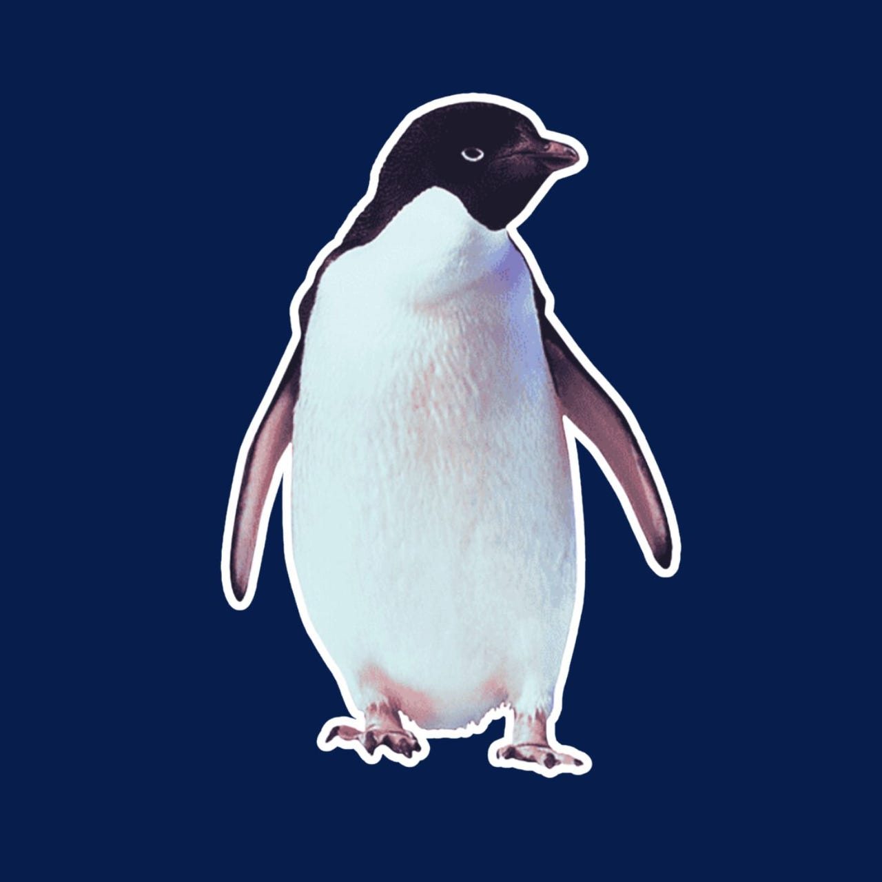 Vendeur Pingui