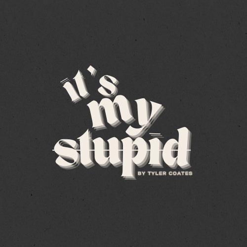 It's My Stupid!