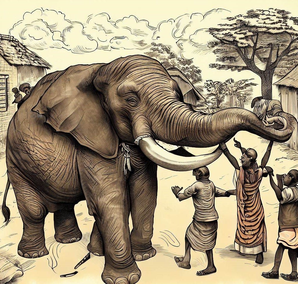 Seeing the Whole Elephant - by Andrew Smith