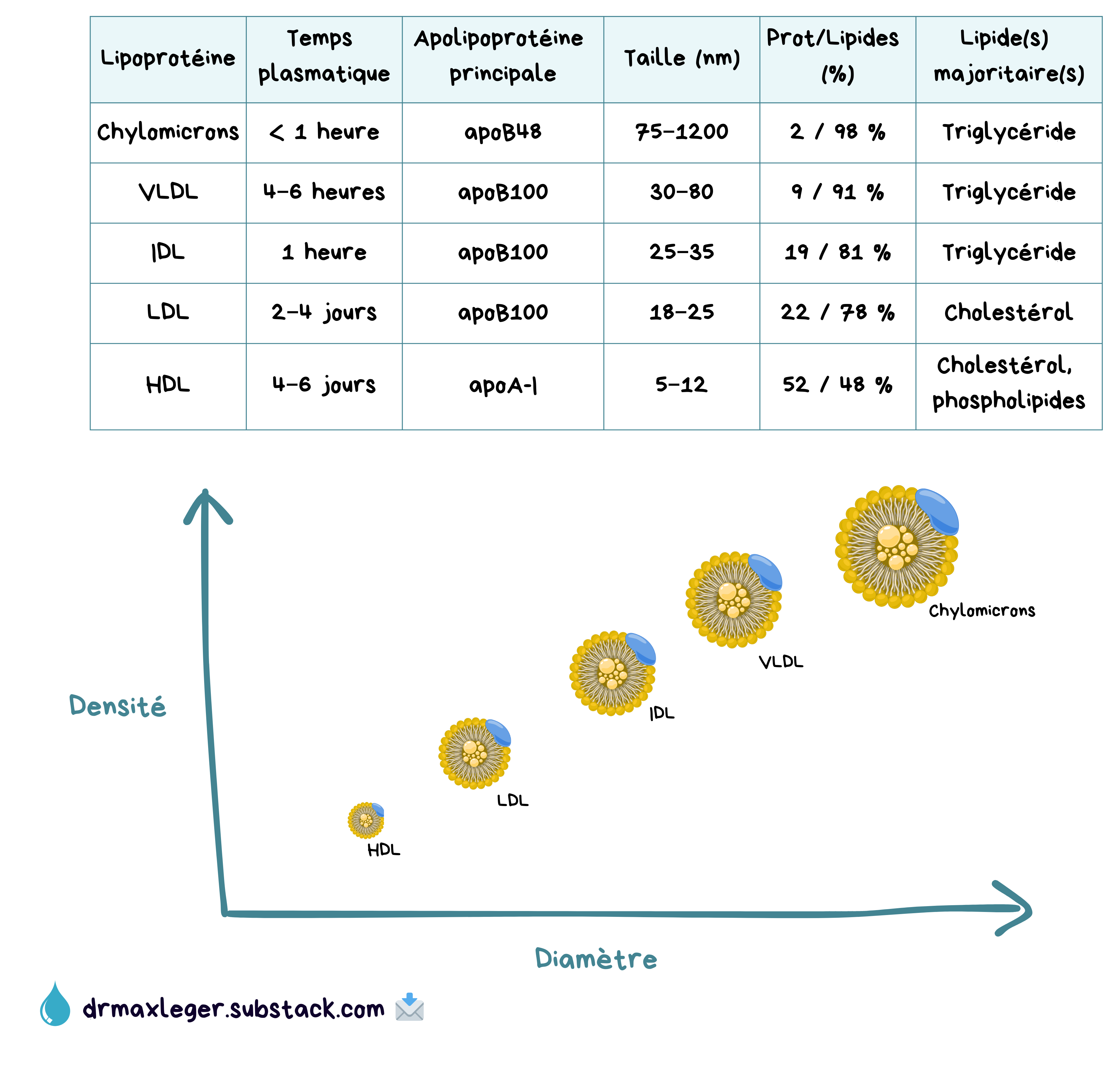 Fond Liquide Rouge Mouvement Minimaliste Rendu En 3d, Formes Fluides, Forme  De Goutte, Fluide Image de Fond Pour le Téléchargement Gratuit - Pngtree, image size:3649x3501