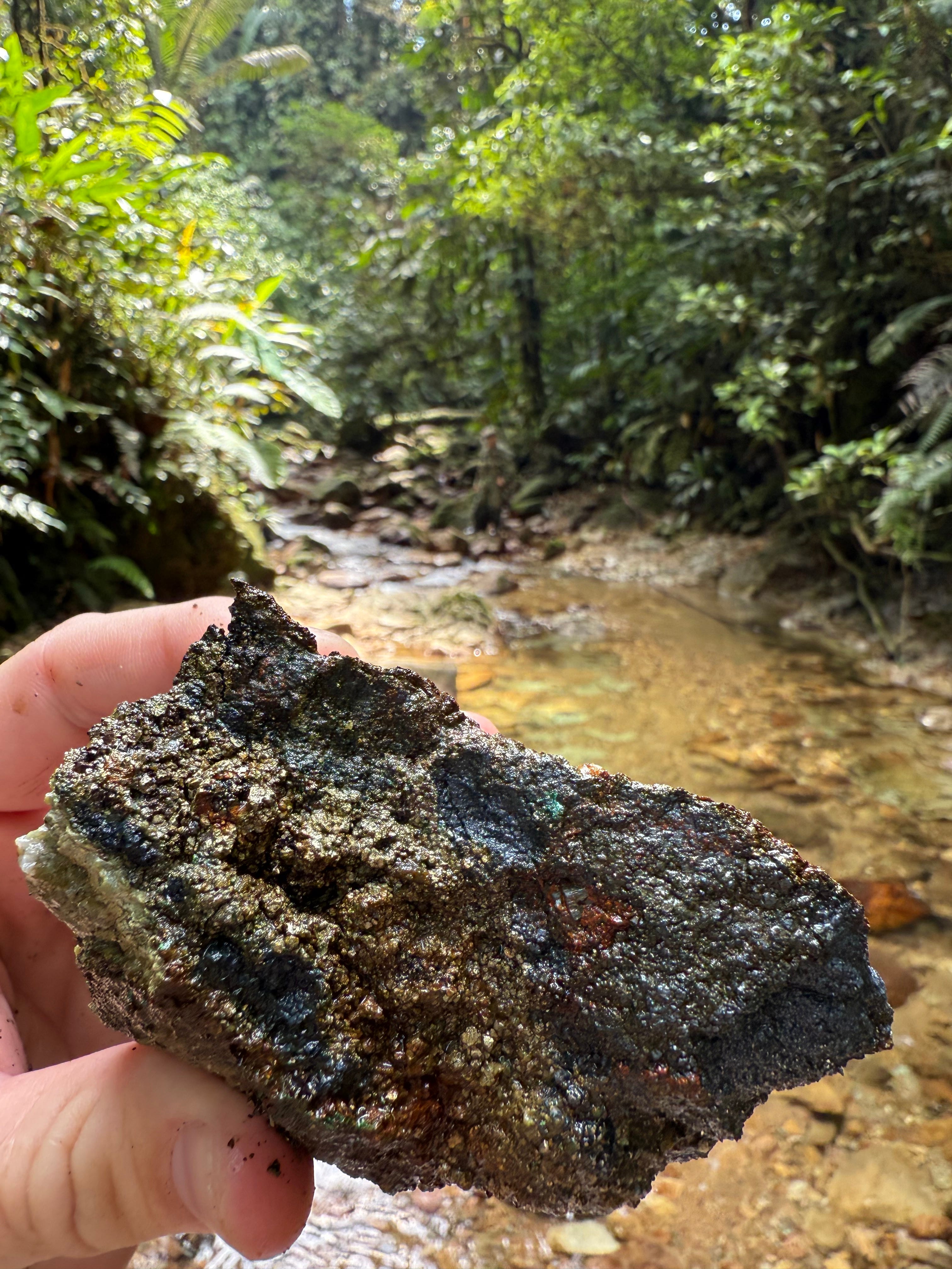558m golden creek