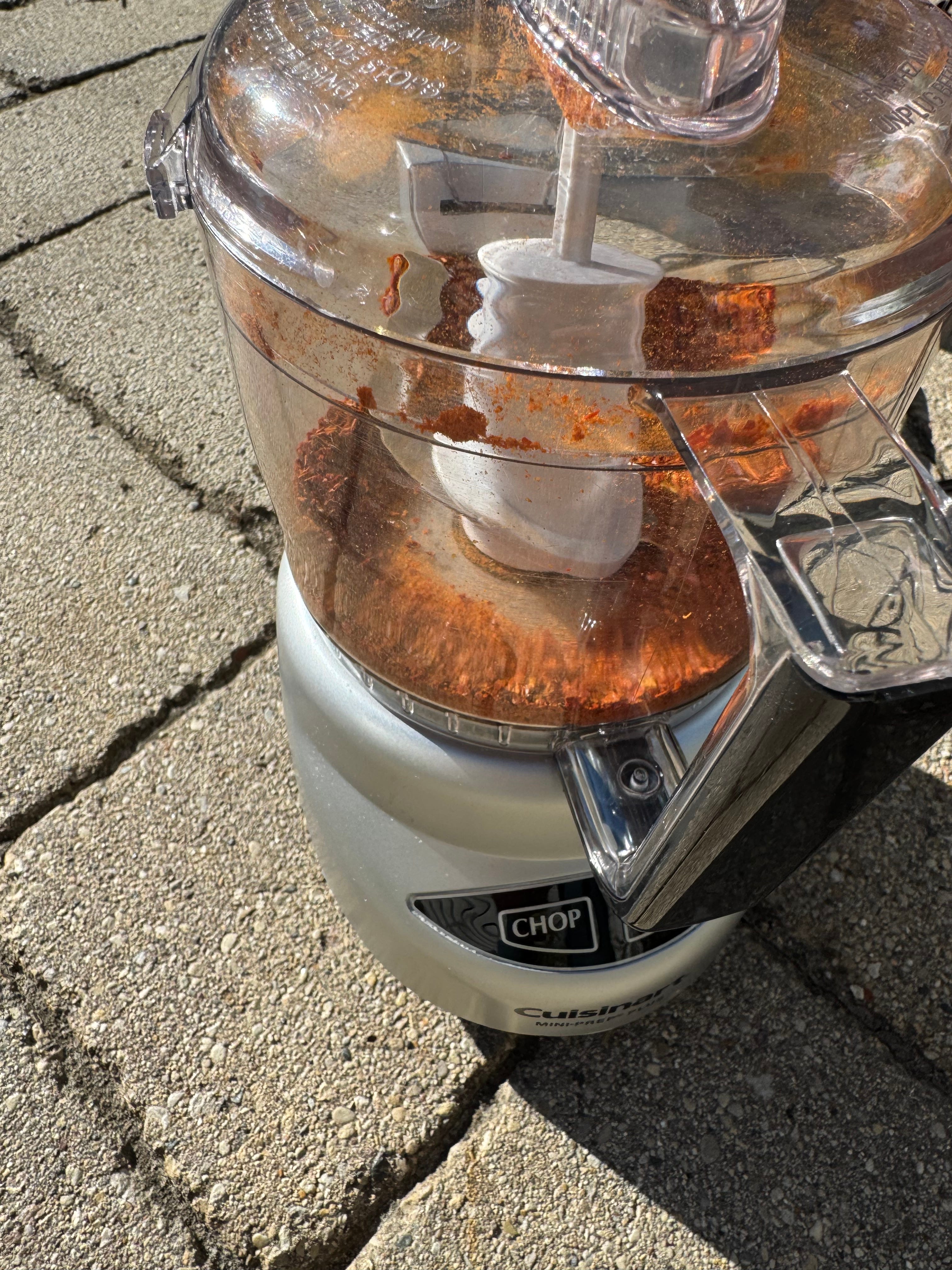 Best Things Today 10/17/24 by Karen T. Smith