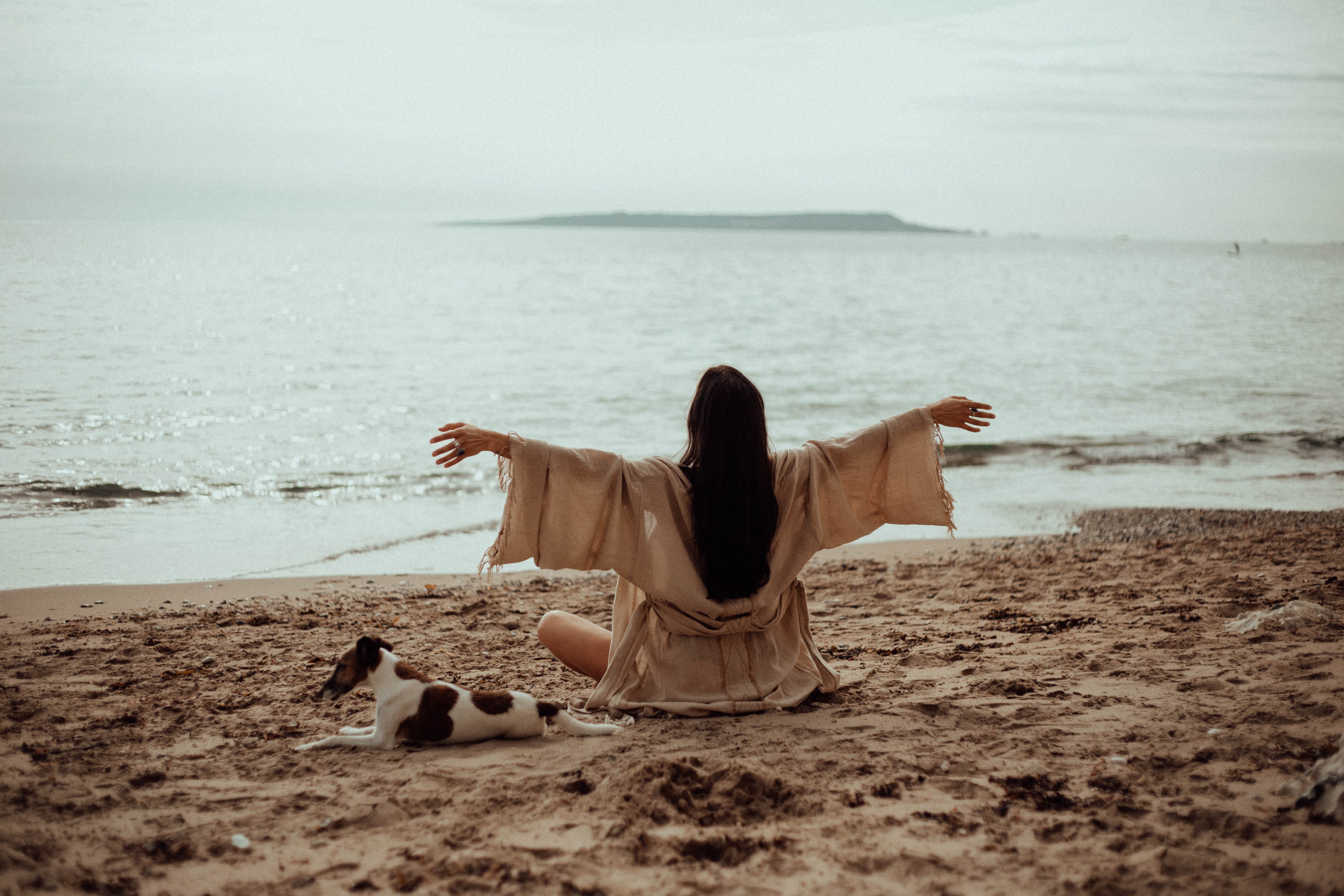 Horses and the veil Dilara’s Newsletter