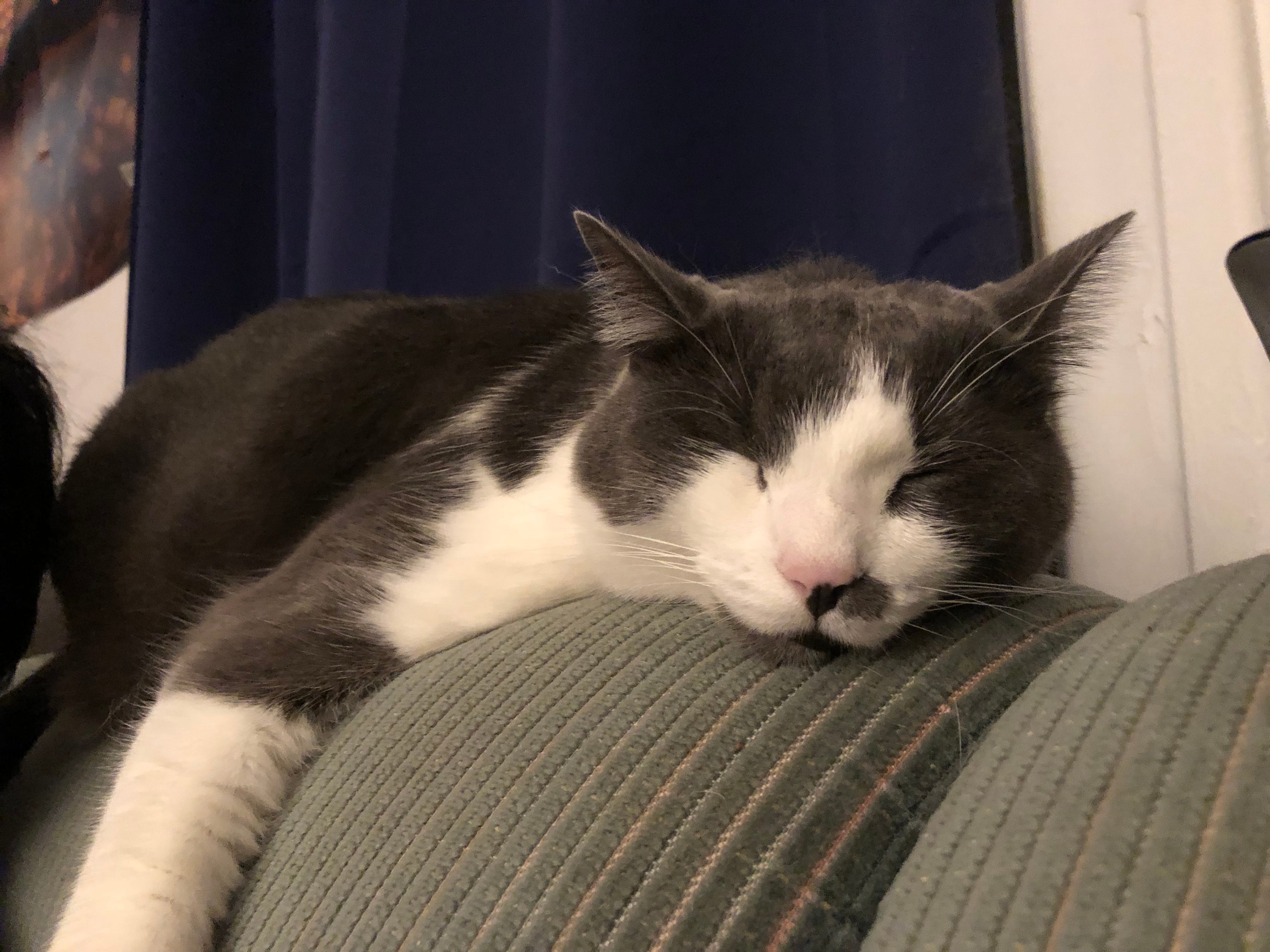 Abstract Adventures Learn to Paint With Me!