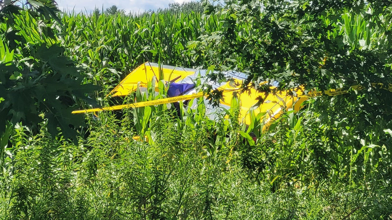 Ultralight crash likely due to loose bolt - TSB