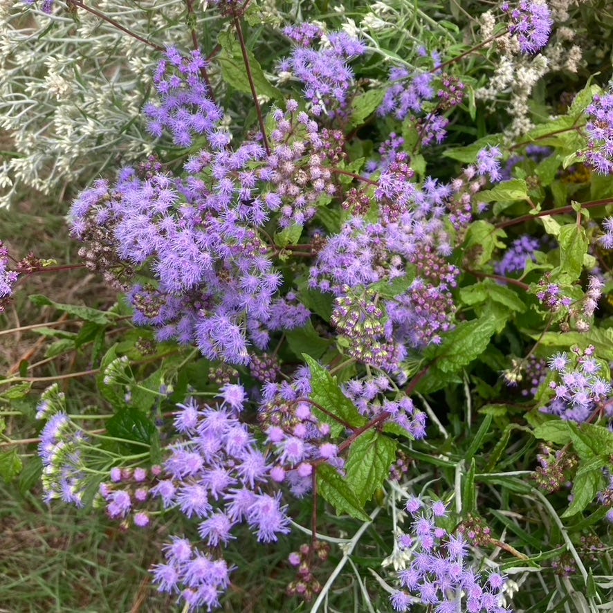 When God invites us to do something different.