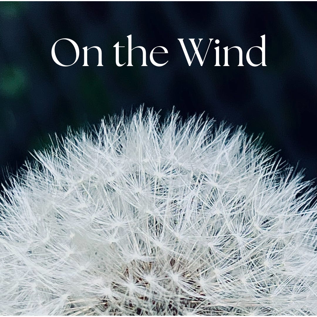 Artwork for On the Wind