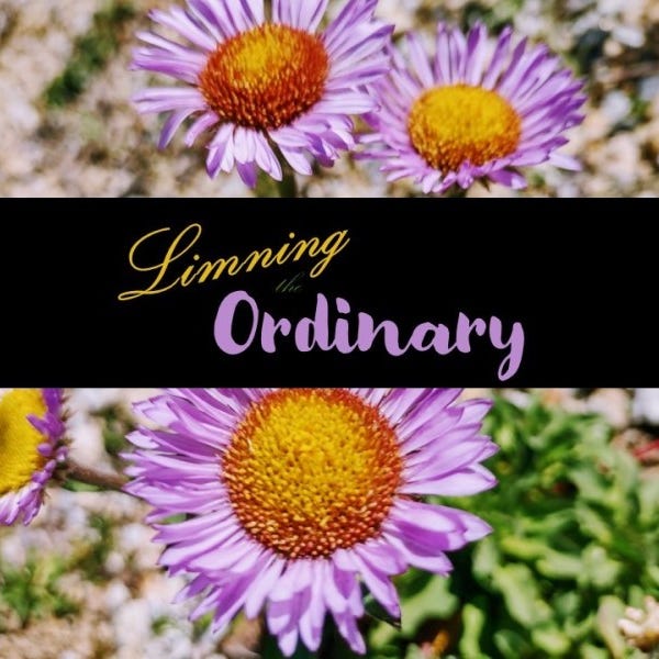Limning the Ordinary