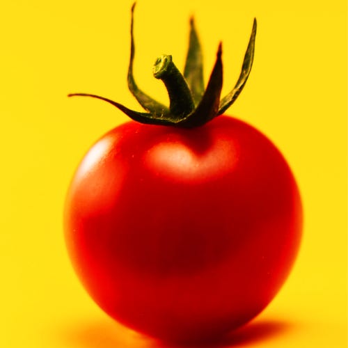 Tomatokind Magazine logo