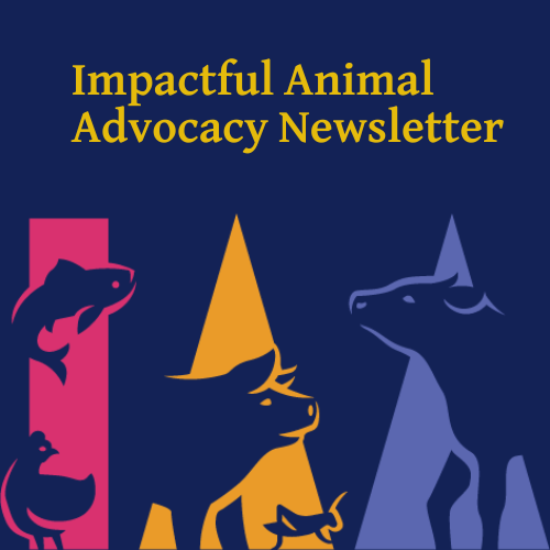 Artwork for Impactful Animal Advocacy Community Newsletter