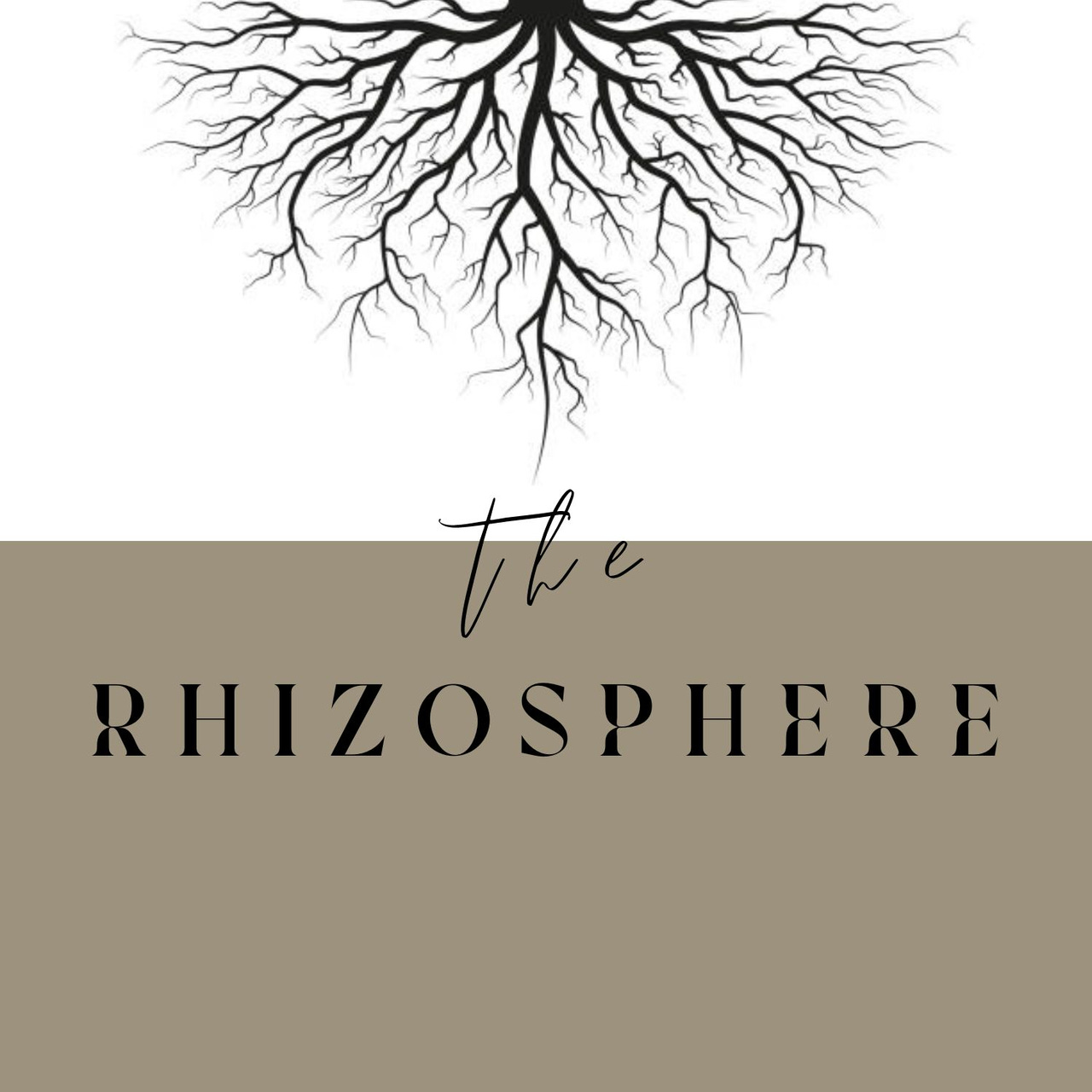 The Rhizosphere (for Writers)
