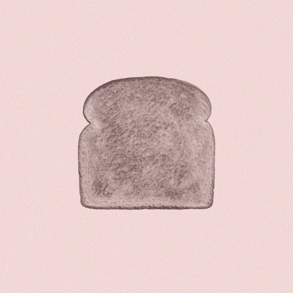 style toast logo