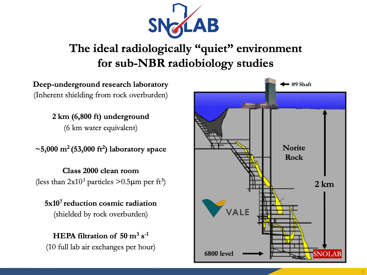 Space Radiobiology