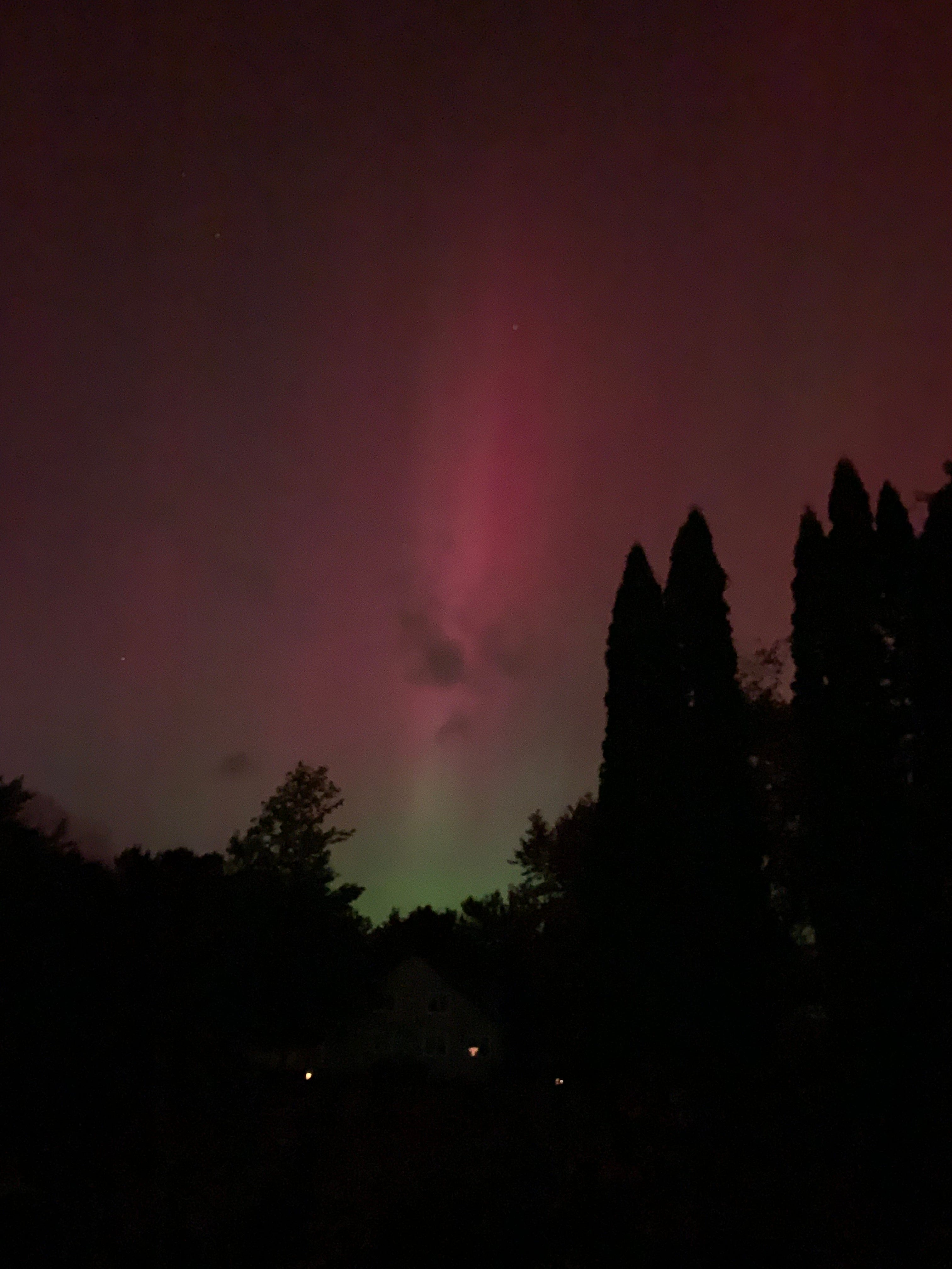 Northern Lights and turkeys by Liz This is Being Alive