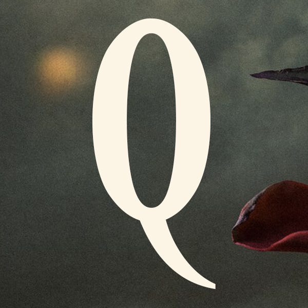 the quill logo