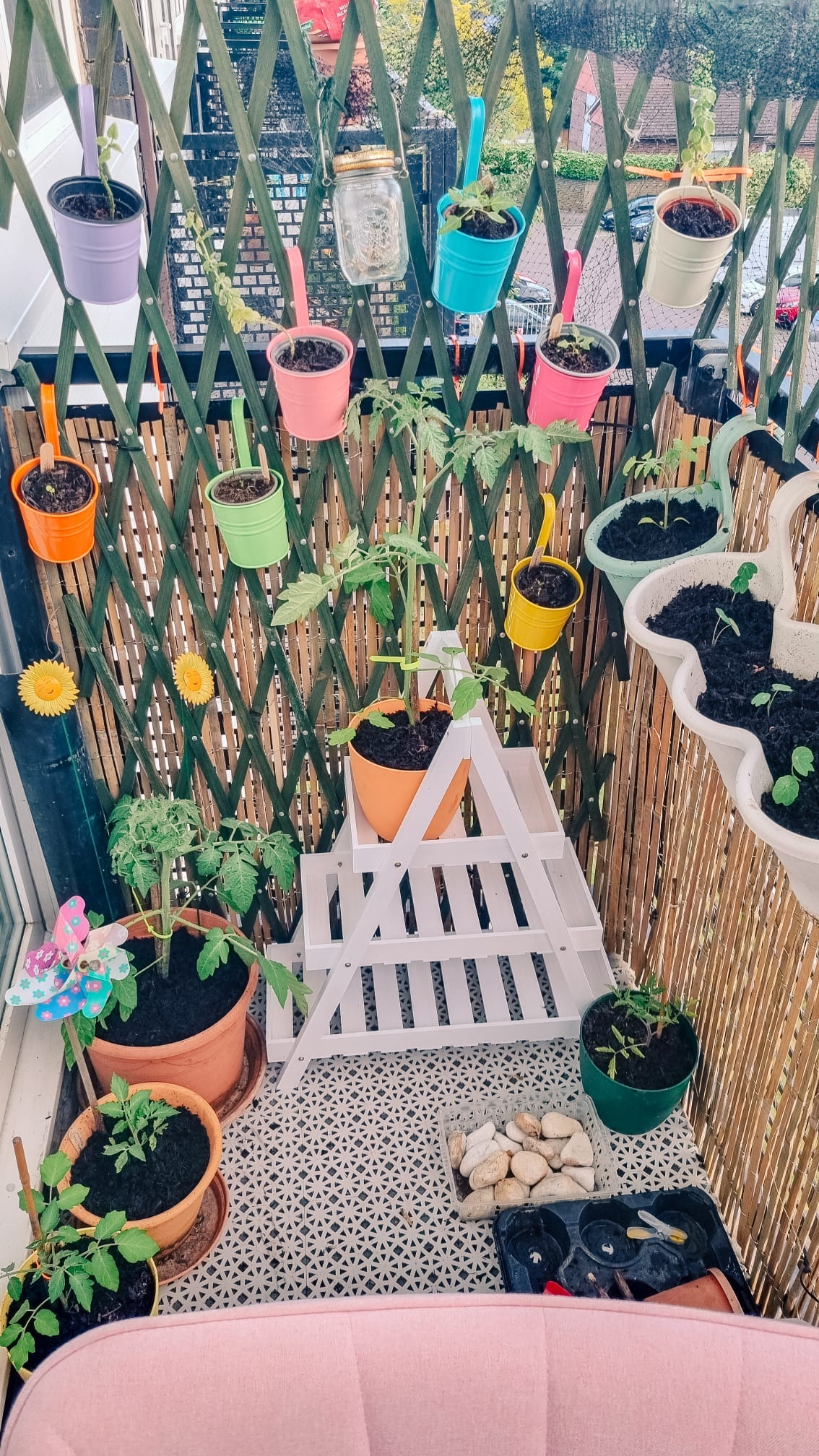How to Grow Your Own Veggies in a Small Space