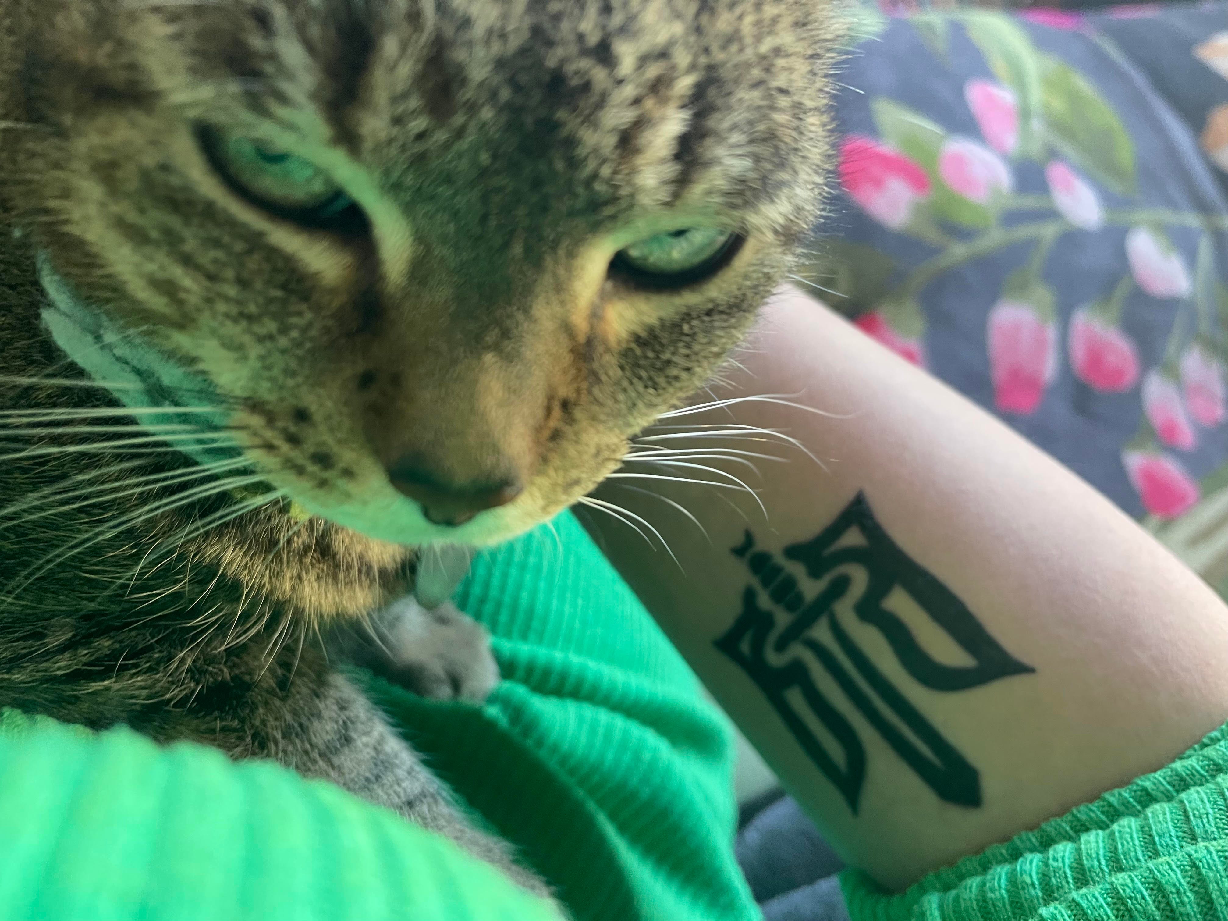 Small Minimalist Cat Whiskers Temporary Tattoo - Set of 3 – Tatteco