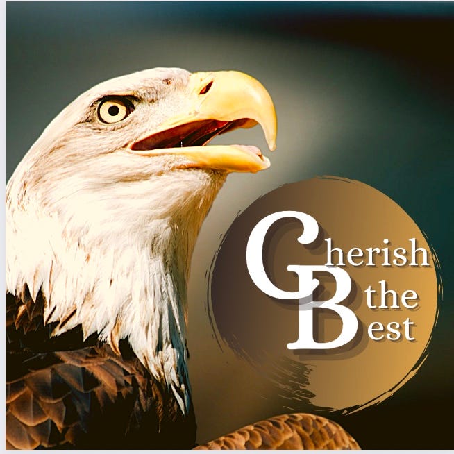 Artwork for Cherish the Best