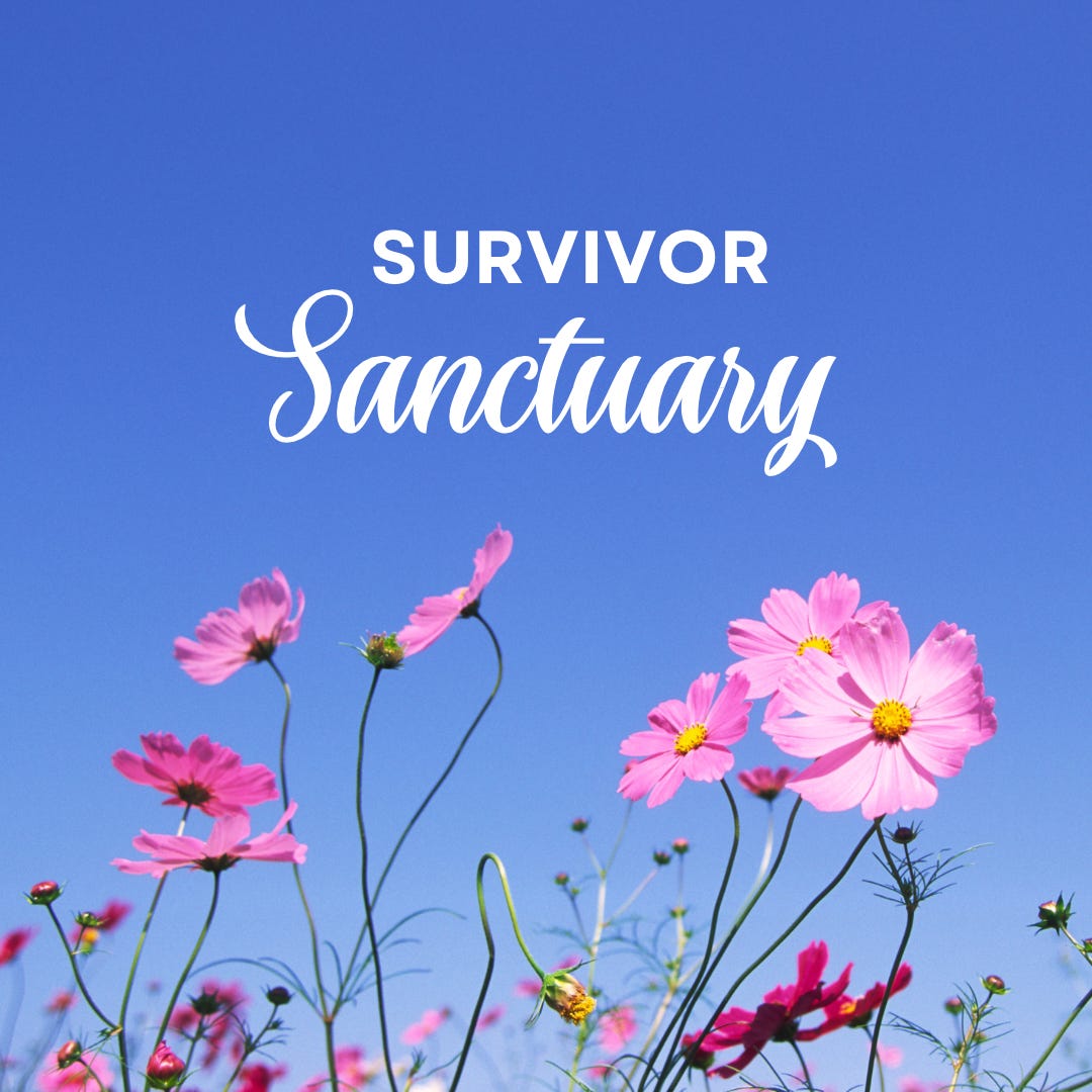 Artwork for Survivor Sanctuary