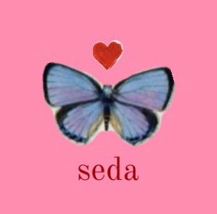 Confessions of Seda