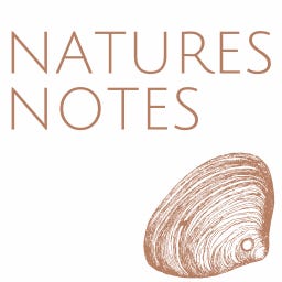 Artwork for Natures Notes 