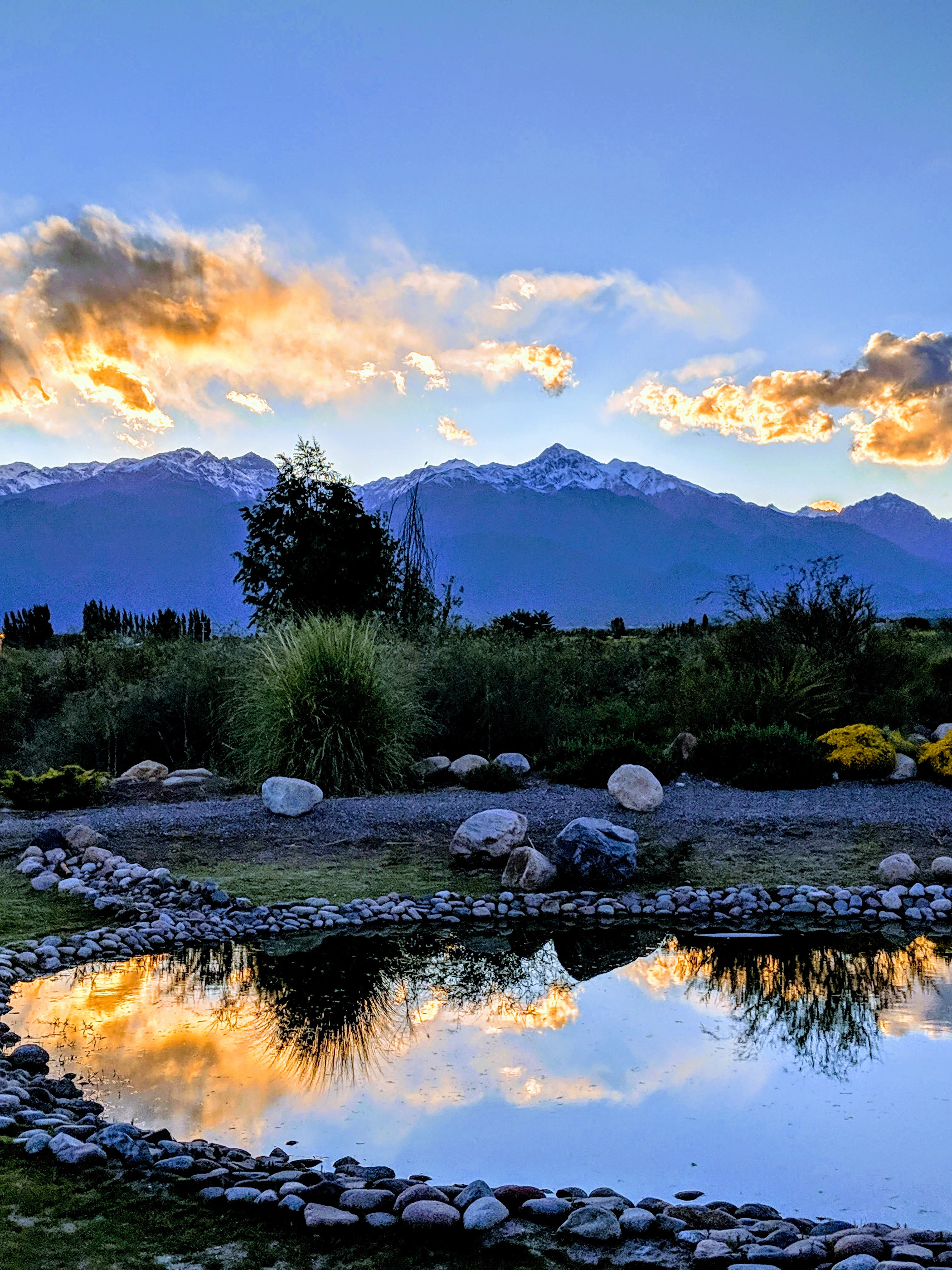 Mendoza, Argentina: The Ultimate Guide 🍷