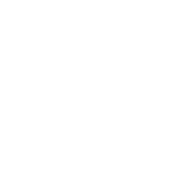 Team Joy  logo