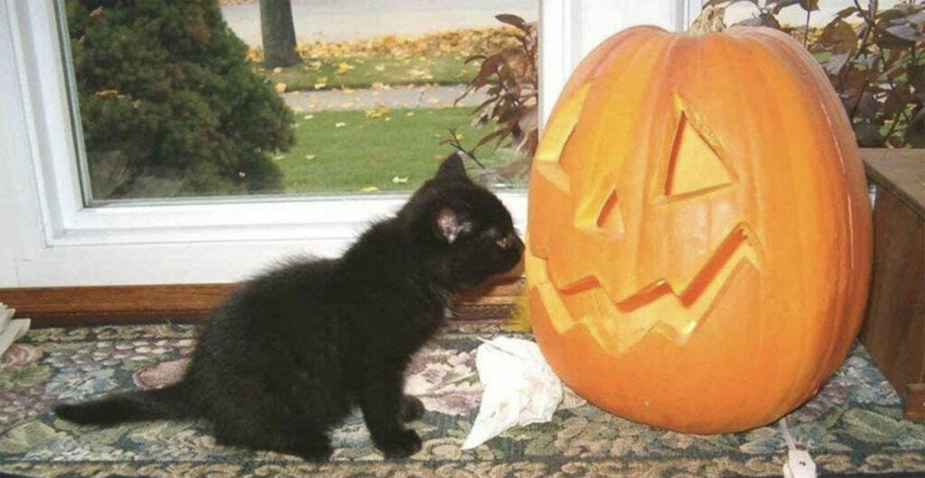 Ghoulishly Green Halloween — Treating Yourself and the Without