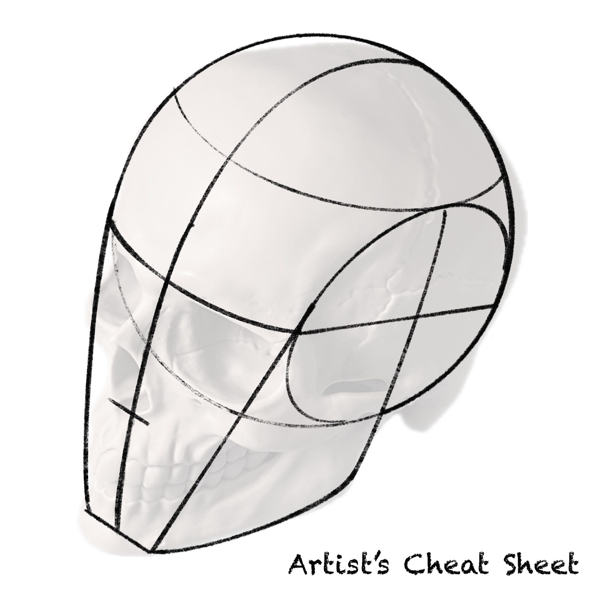 Portrait Series Loomis Head by Zoungy Kligge