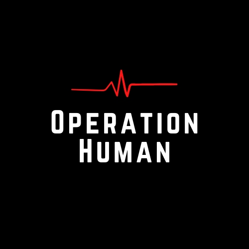 Artwork for Operation Human