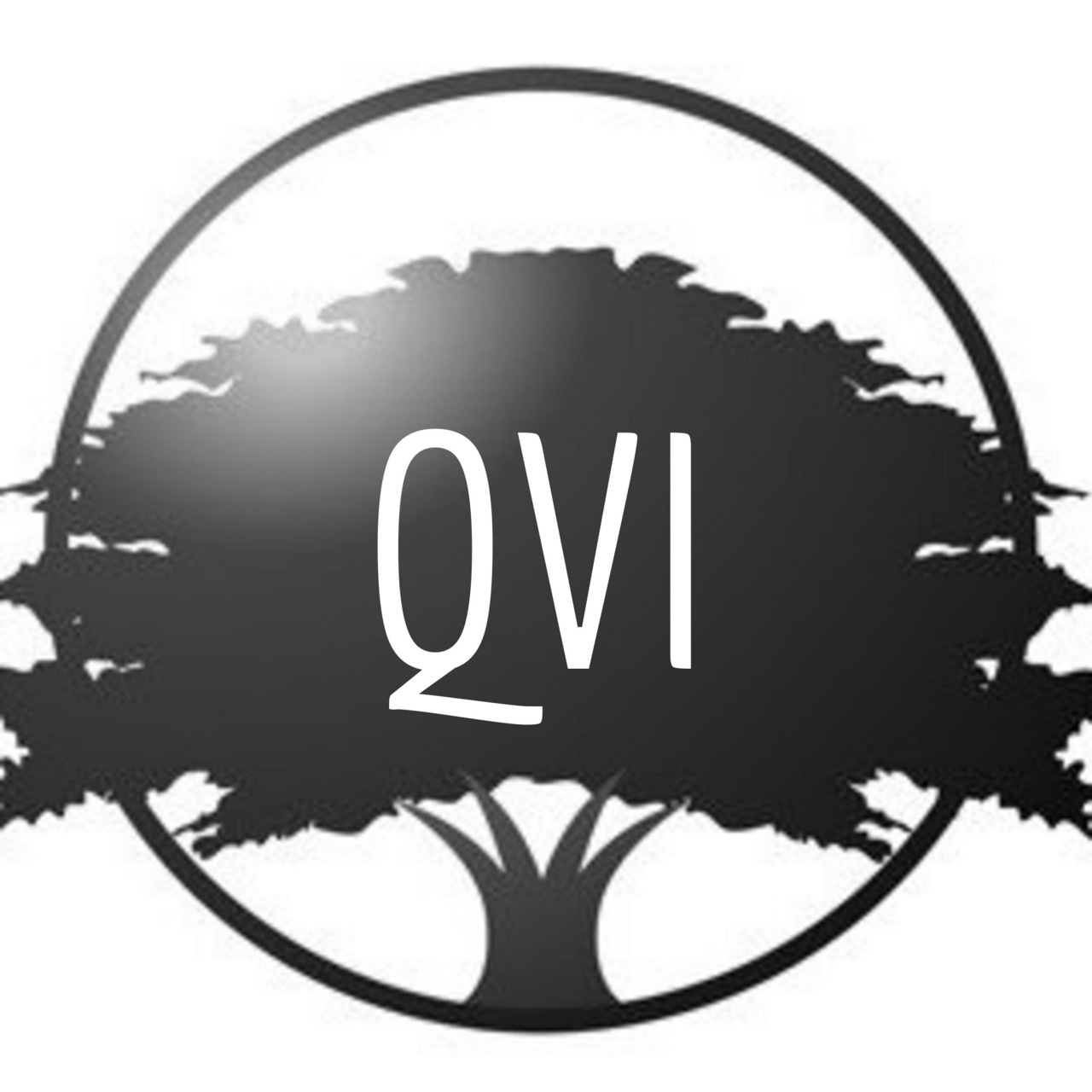 Quality Value Investing logo