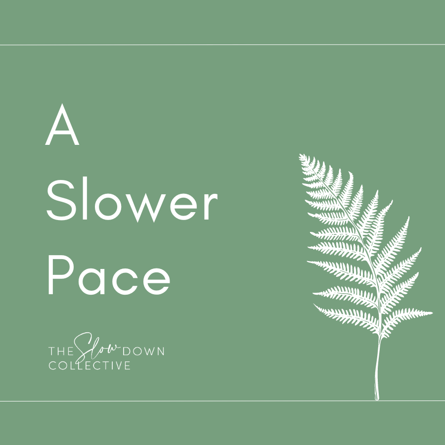 A Slower Pace  logo