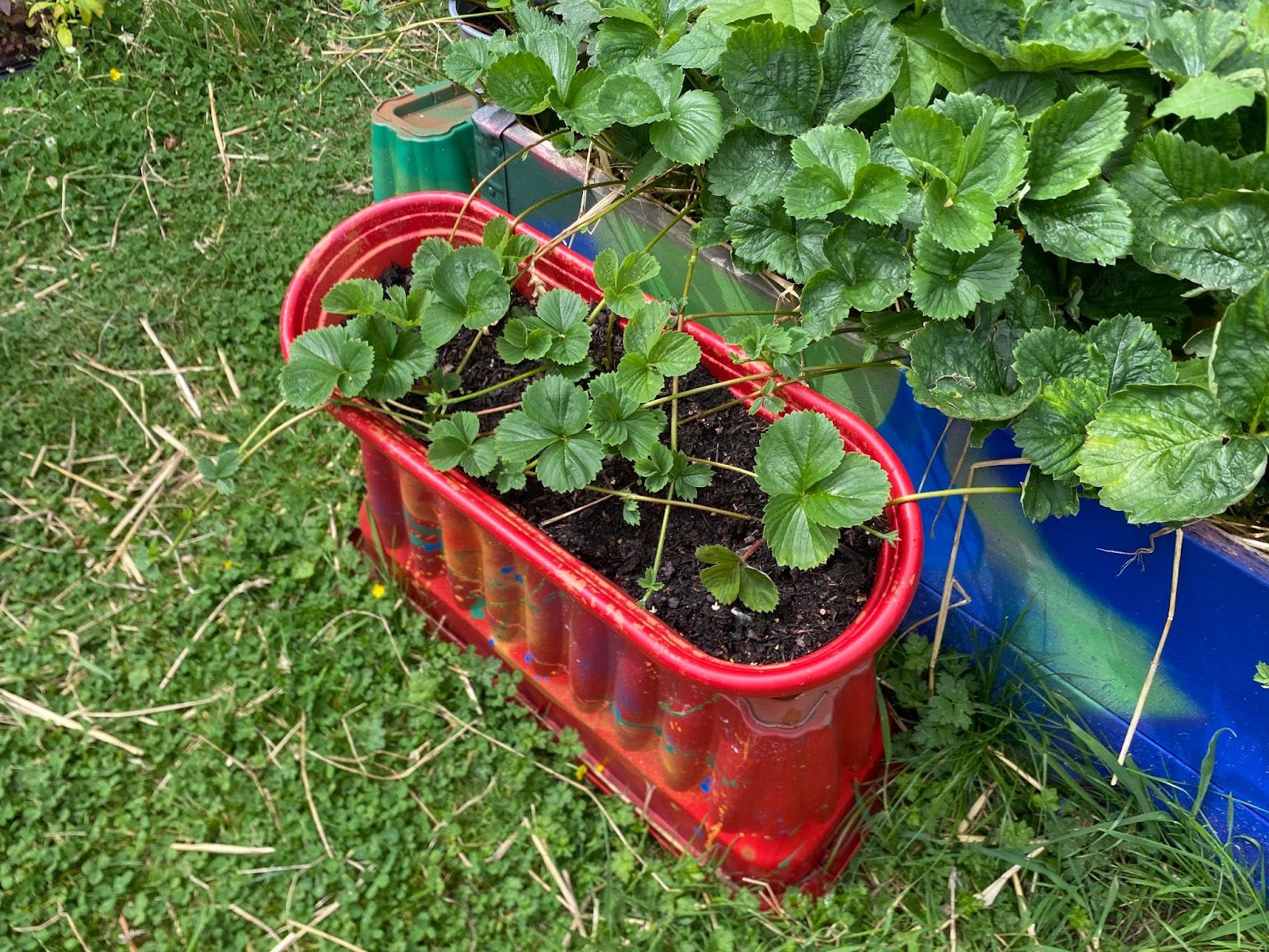 Season of Creation 2024 [2/5] Learning to Participate in an Economy of