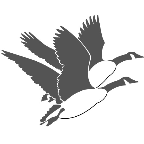 Artwork for Flying Geese