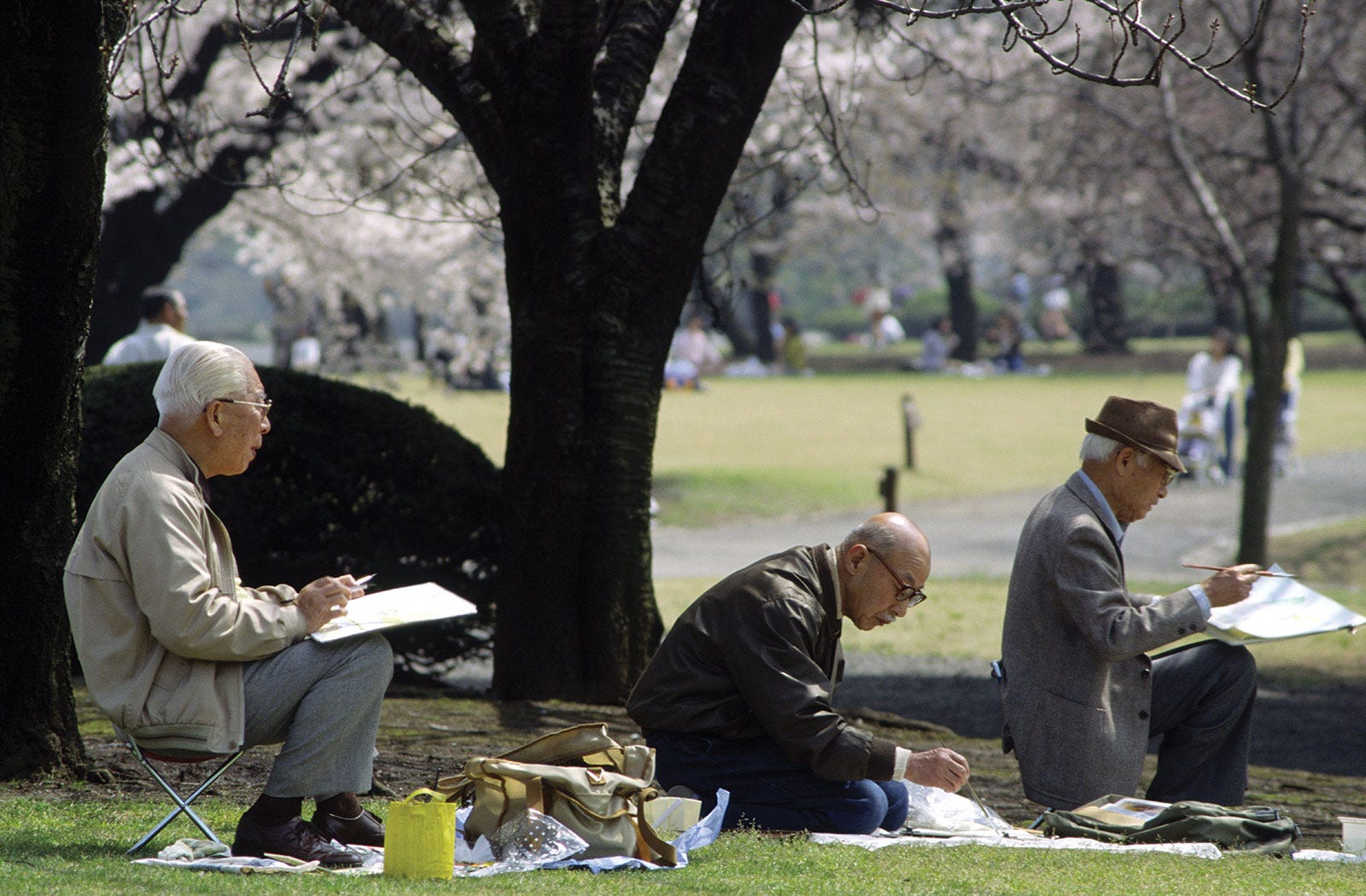 Japan's population drops by nearly 800,000 with falls in every prefecture  for the first time, Japan