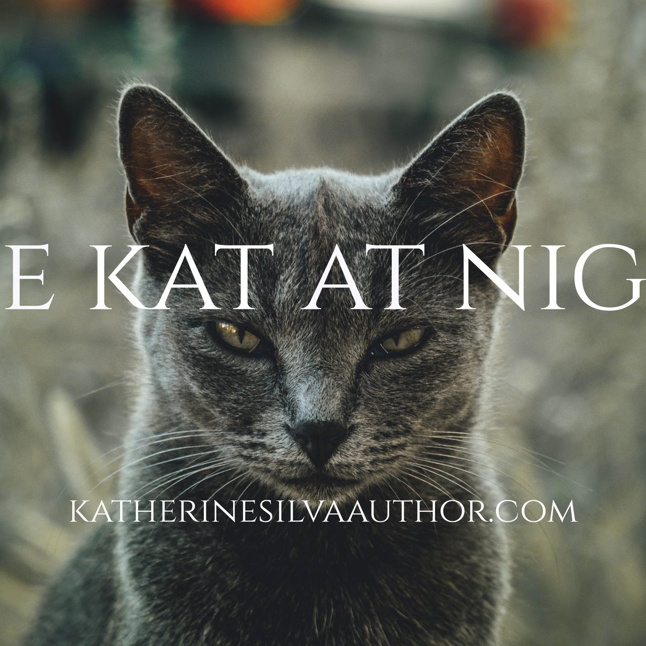 Artwork for The Kat At Night