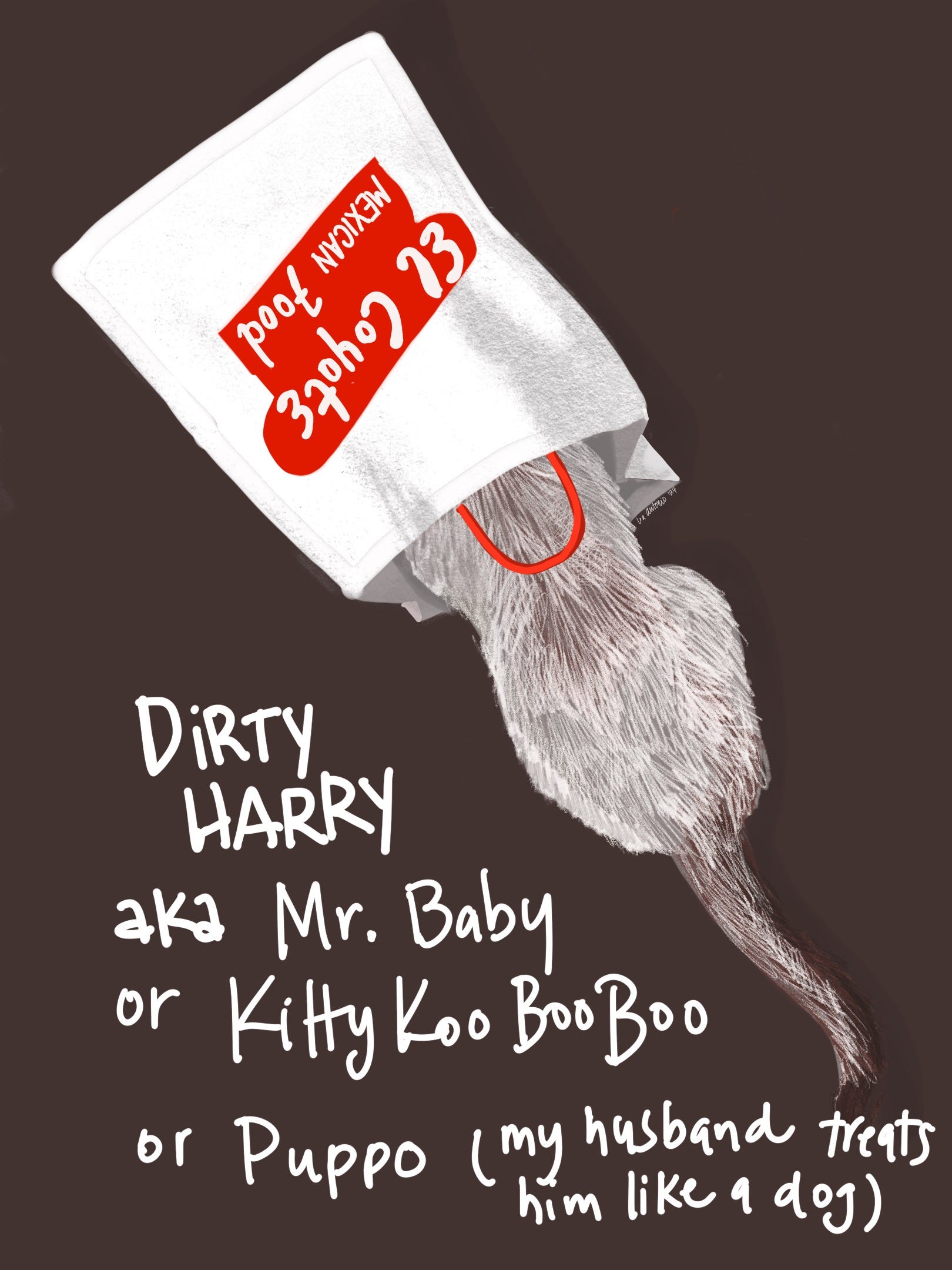 I Always Said, No More Cats by Lea