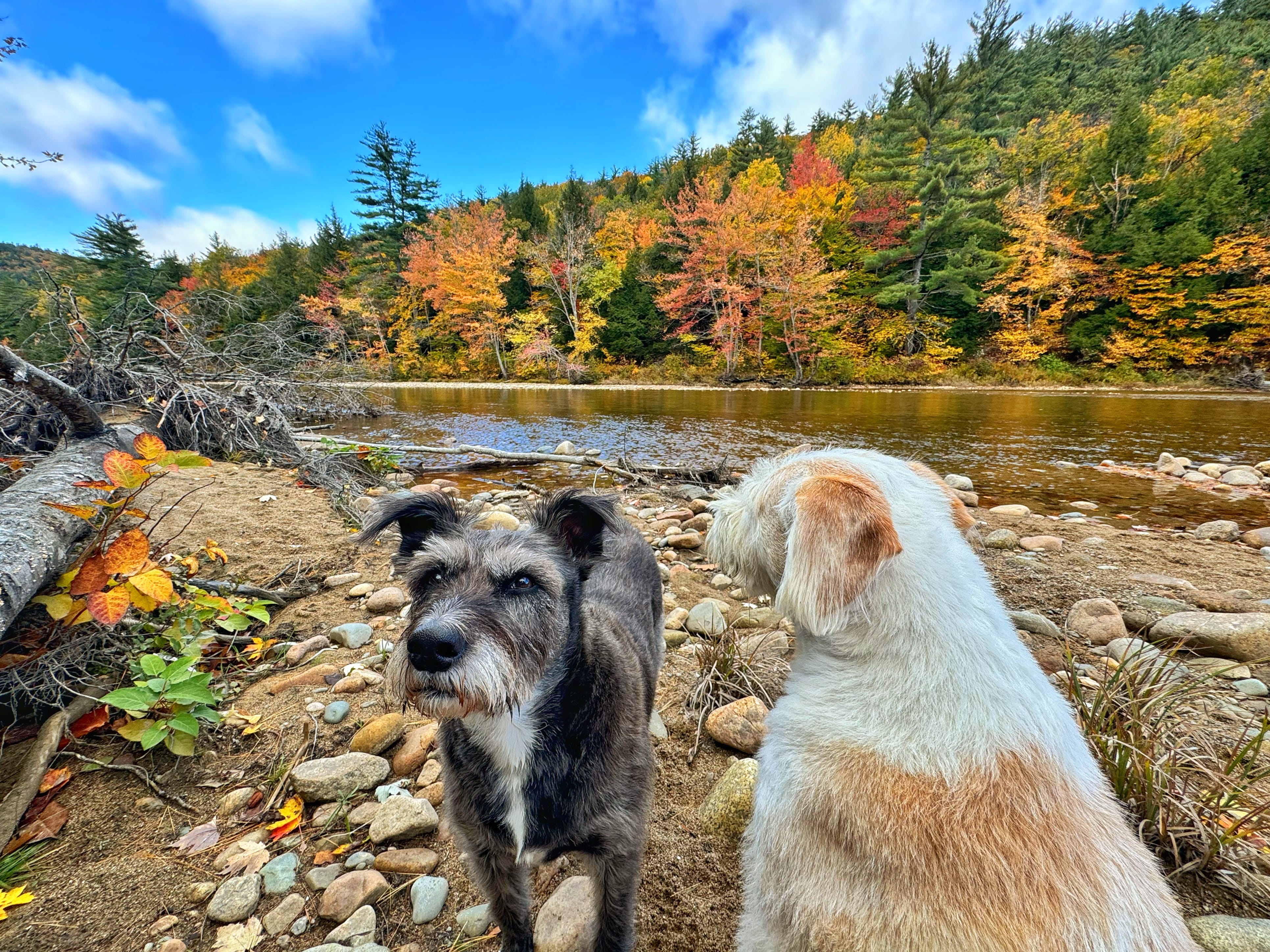 As a Stroke, Kidney Failure, and Heart Attack Survivor, These Are the