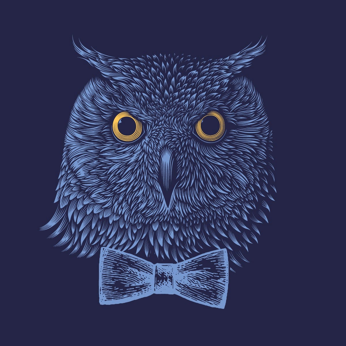 Artwork for Bowtied Owl’s Substack