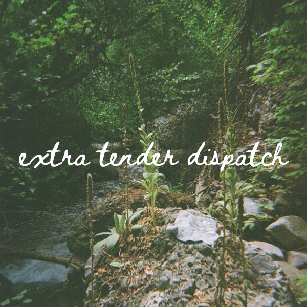 Extra Tender Dispatch logo