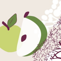 Artwork for Apples & Elderflower