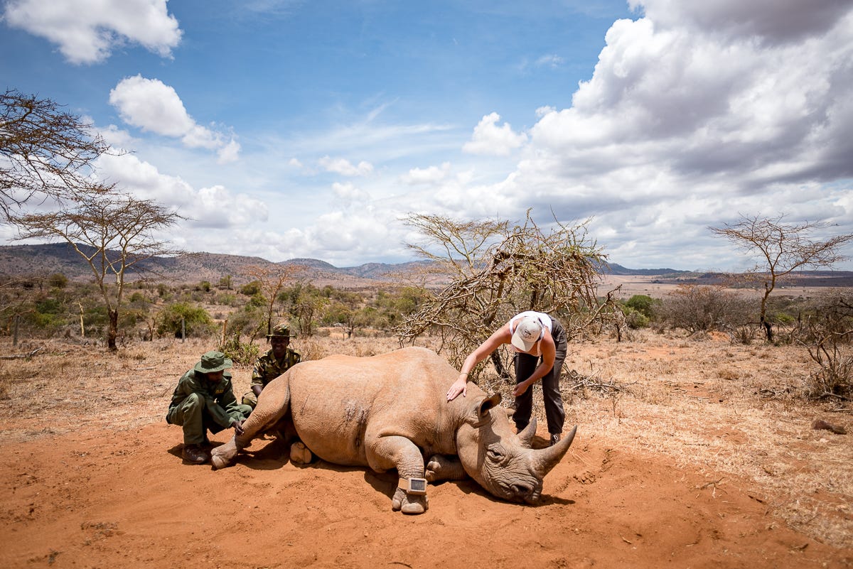 5 Fascinating Facts About the Maasai People - Micato Safaris