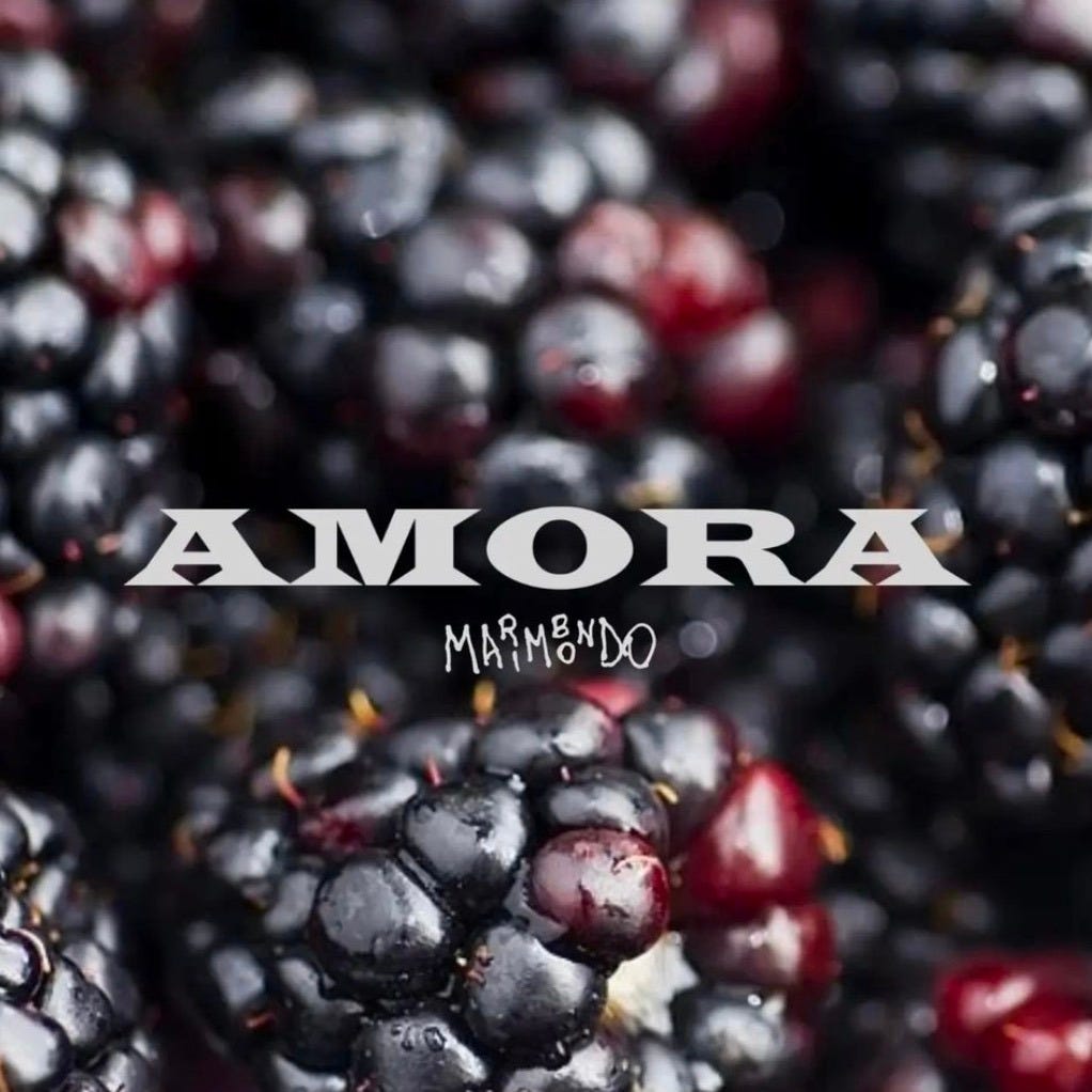 AMORA