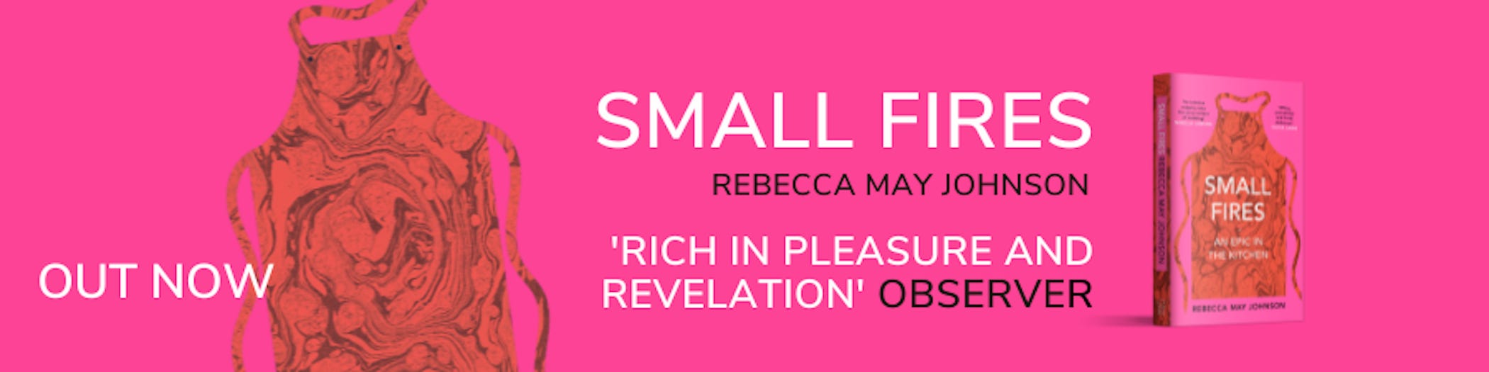 Small Fires by Rebecca May Johnson: 9781911590484