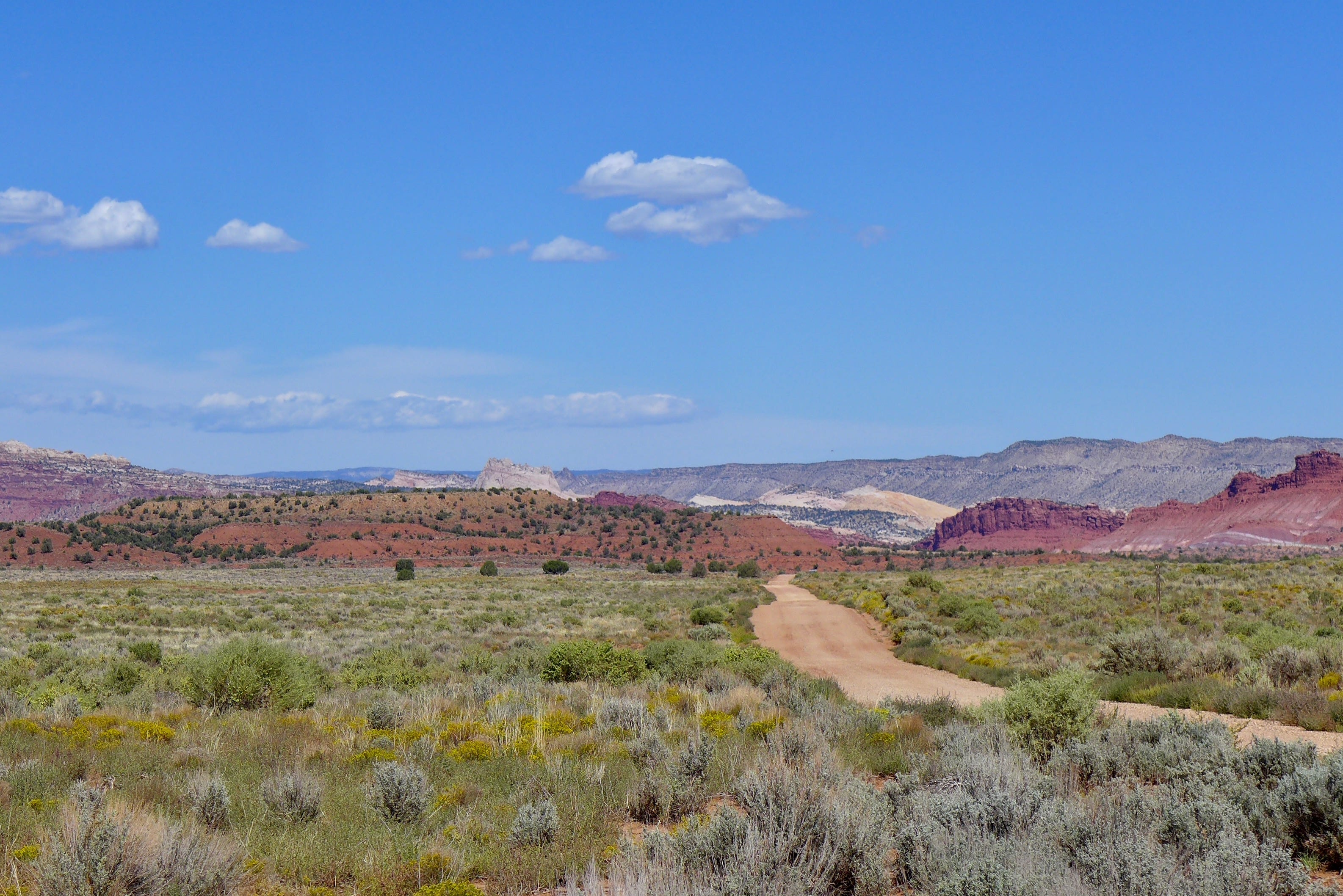 The Golden Light by Dami Roelse Walk with Dami